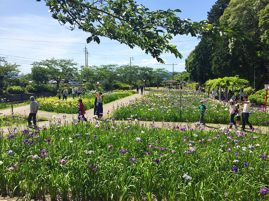 賀茂しょうぶ園 カズマデザイン 日々の何気ない暮らしを楽しむ豊川市のエクステリア施工会社